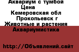 Аквариум с тумбой › Цена ­ 3 500 - Кемеровская обл., Прокопьевск г. Животные и растения » Аквариумистика   